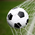 soccer ball in net
